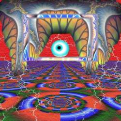 Camel Of Doom : The Song with Rocks in Camel Of Doom : The Song with Rocks in